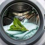 La ropa huele mejor, se mantiene más suave y se conserva más fresca… ¡todo gracias a esta sencilla planta!