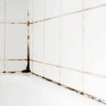 Moho en las juntas de los azulejos: un método sencillo de los expertos que elimina los hongos para siempre