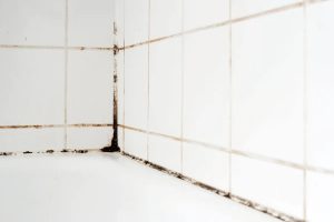 Moho en las juntas de los azulejos: un método sencillo de los expertos que elimina los hongos para siempre