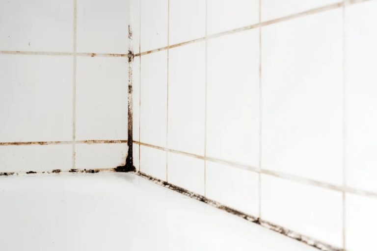 Moho en las juntas de los azulejos: un método sencillo de los expertos que elimina los hongos para siempre